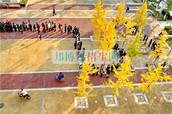 中央財經(jīng)大學網(wǎng)站網(wǎng)址