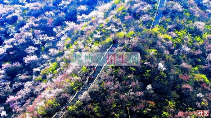 新鄉(xiāng)職業(yè)技術(shù)學院宿舍條件
