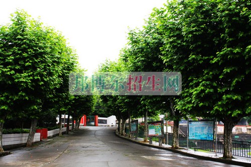 哪個大專學(xué)校海乘海員好