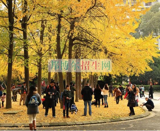 成都好一點的移動通信技術(shù)學(xué)校