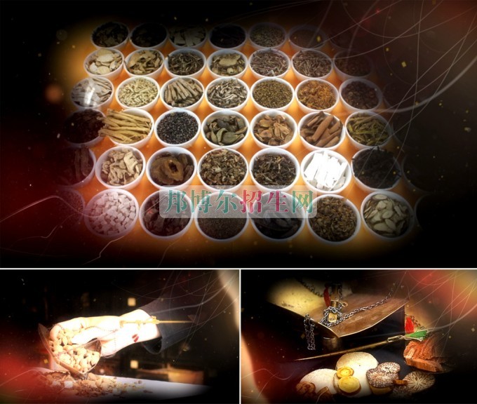 成都高等中醫(yī)學(xué)大專(zhuān)學(xué)校