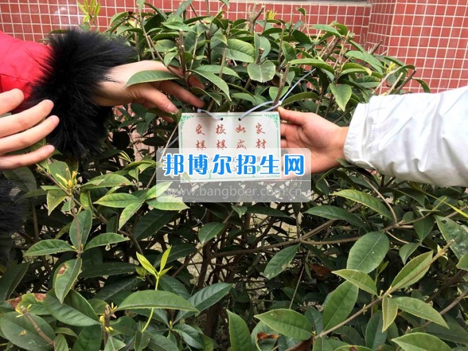 四川托普信息技術(shù)職業(yè)學(xué)院愛(ài)心植樹(shù)