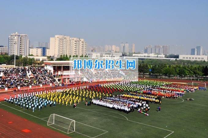 2017年四川托普信息技術(shù)職業(yè)學(xué)院第十七屆春季田徑運(yùn)動(dòng)會(huì)隆重開(kāi)幕