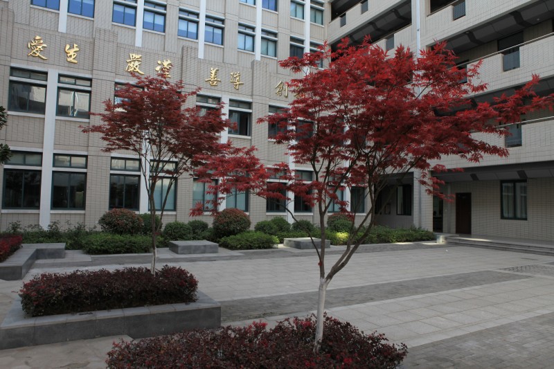 南京衛(wèi)生高等職業(yè)技術學校怎么樣、好不好