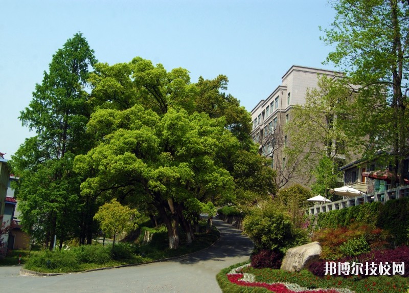 中國美術(shù)學院附屬中等美術(shù)學校2020年報名條件、招生要求、招生對象