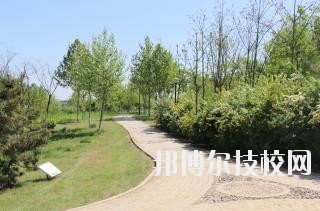 石家莊中英航空中等專業(yè)學校2020年報名條件、招生要求、招生對象