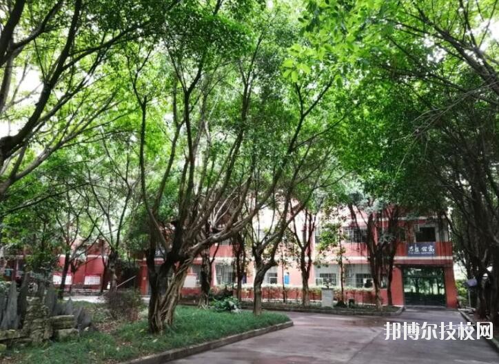 重慶舞蹈學(xué)校2020年報(bào)名條件、招生要求、招生對(duì)象