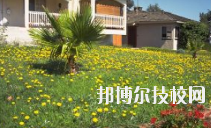 同學(xué)們需要依據(jù)自己所了解的情況來選擇學(xué)校，那么這也決定看同學(xué)們需要去了解這些學(xué)校的招生簡章，以便可以清楚的了解學(xué)校信息。下面就由小編給同學(xué)們介紹的有關(guān)于蘭州園藝學(xué)校招生簡章以及相關(guān)情況，以供大家參考了解。  蘭州園藝學(xué)校層次：中專  蘭州園藝學(xué)校性質(zhì)：公辦  蘭州園藝學(xué)校地址：蘭州市西固區(qū)范家坪  蘭州園藝學(xué)校介紹 蘭州園藝學(xué)校是全省唯一一所園藝、設(shè)施園藝、園林花卉、生態(tài)環(huán)境保護(hù)、建筑裝飾、旅游服務(wù)管理、計算機(jī)網(wǎng)絡(luò)技術(shù)、古建筑油漆彩畫等專業(yè)為一體的國辦全日制普通中等專業(yè)學(xué)校。  學(xué)校地處全省政治經(jīng)濟(jì)文化中心蘭州市,占地面積8萬平方米。有各類教學(xué)實驗室14個，擁有圖書館、閱覽室、組培室、微機(jī)室、語音室、電教室、校園網(wǎng)等各類教學(xué)設(shè)施。校園環(huán)境幽靜、空氣清新、規(guī)劃科學(xué)、設(shè)計獨特。校園內(nèi)溫?zé)釒Щɑ芷贩N齊全，三季有花，四季常青，教學(xué)生活設(shè)施齊全，師資力量雄厚校風(fēng)優(yōu)良。學(xué)校在珠海、深圳、上海、昆明、蘭州和平牡丹園等地有多處實習(xí)基地。學(xué)校以獨特的專業(yè)設(shè)置，超長的市場預(yù)測和嚴(yán)格的管理，為社會培養(yǎng)了大批實用型中等專業(yè)人才，畢業(yè)生就業(yè)面積廣，就業(yè)率高。  了解了蘭州園藝學(xué)校的信息后，就知道簡章也是可以用來選擇學(xué)校的。以上就是小編給大家整理的蘭州園藝學(xué)校招生簡章，想要了解更多有關(guān)于學(xué)校信息的同學(xué)們是可以直接咨詢了解邦博爾相關(guān)網(wǎng)站。