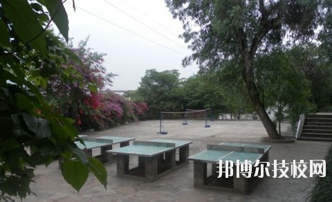 宜賓縣科普職業(yè)技術(shù)學校2020年招生簡章