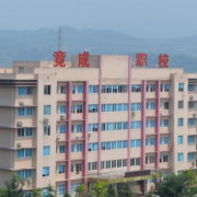 重慶渝北區(qū)竟成中學校