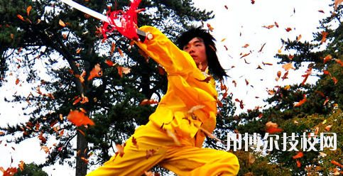 平?jīng)鲠轻嘉奈鋵W(xué)校2020年報(bào)名條件、招生要求、招生對(duì)象