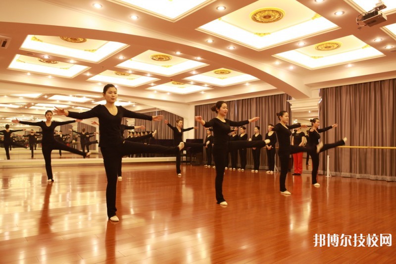 滄州職業(yè)技術(shù)學(xué)院2020年報名條件、招生要求、招生對象
