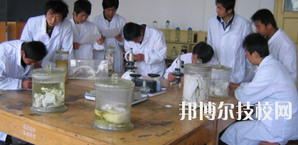 臨夏農(nóng)業(yè)學(xué)校2020年學(xué)費、收費多少