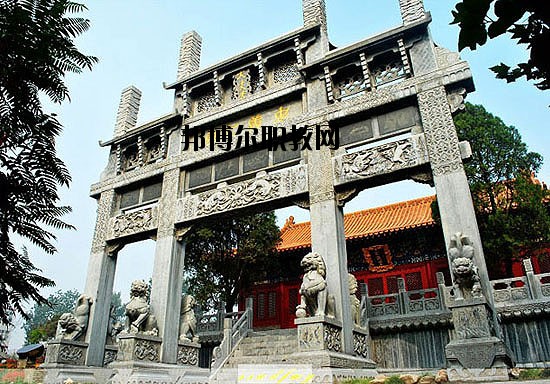河北美術(shù)學(xué)院2020年報(bào)名條件、招生要求、招生對象