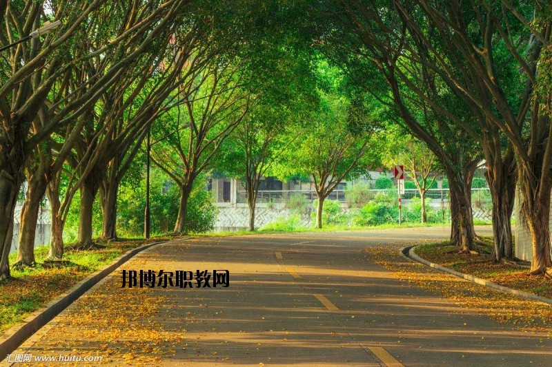 仙桃金園職業(yè)高級(jí)中學(xué)2020年報(bào)名條件、招生要求、招生對(duì)象