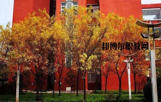 鶴峰職業(yè)技術(shù)學(xué)校2020年報(bào)名條件、招生要求、招生對(duì)象
