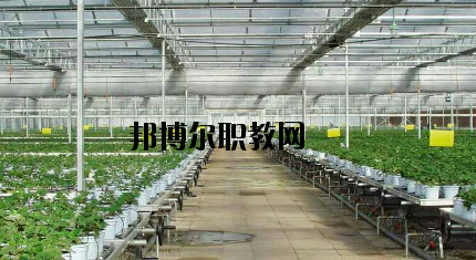 隴南農(nóng)業(yè)學校怎么樣、好不好
