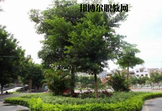 羅定中等職業(yè)技術(shù)學(xué)校2020年報(bào)名條件、招生要求、招生對(duì)象