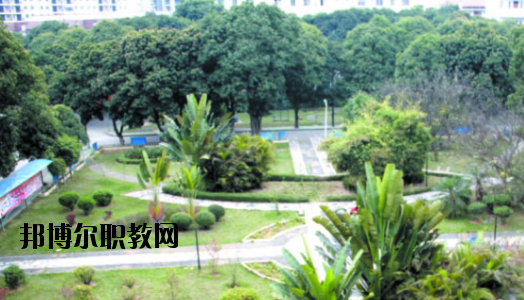 廣西百色農(nóng)業(yè)學(xué)校2020年報(bào)名條件、招生要求、招生對象 