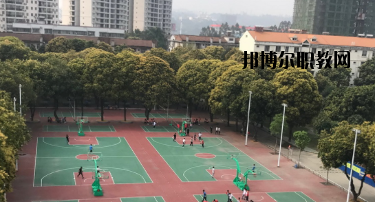 廣西百色農業(yè)學校網(wǎng)站網(wǎng)址 