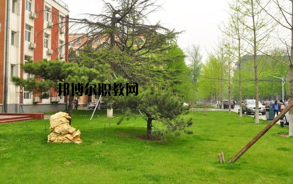 鄭州青年職業(yè)中等專業(yè)學(xué)校2021年報名條件、招生要求