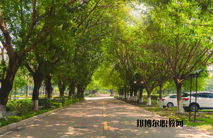 河南團校2021年報名條件、招生要求、招生對象