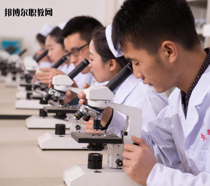 焦作護理學(xué)校怎么樣、好不好