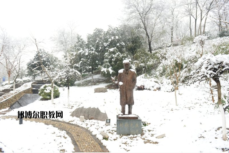 南京工業(yè)大學(xué)2020年報名條件、招生要求、招生對象