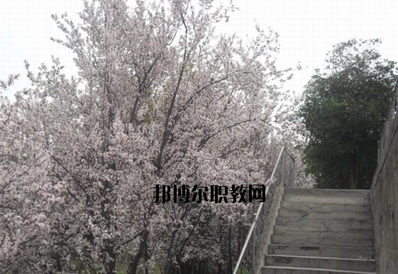 ?？德毥讨行膶W(xué)校網(wǎng)址網(wǎng)站