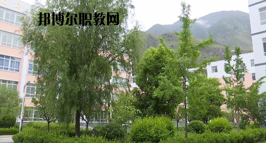 文縣職業(yè)技術(shù)學(xué)校2020年報名條件、招生要求、招生對象