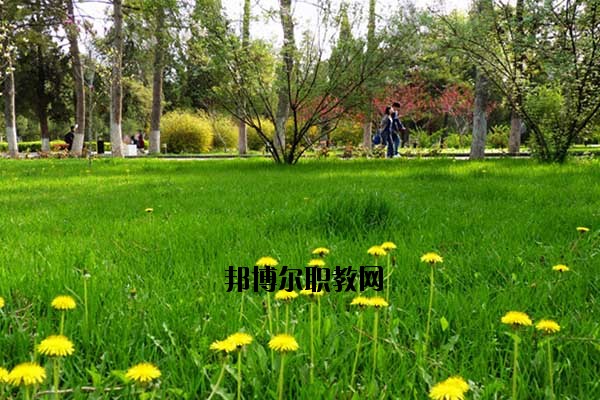 雙江縣職教中心2020年報名條件、招生要求、招生對象