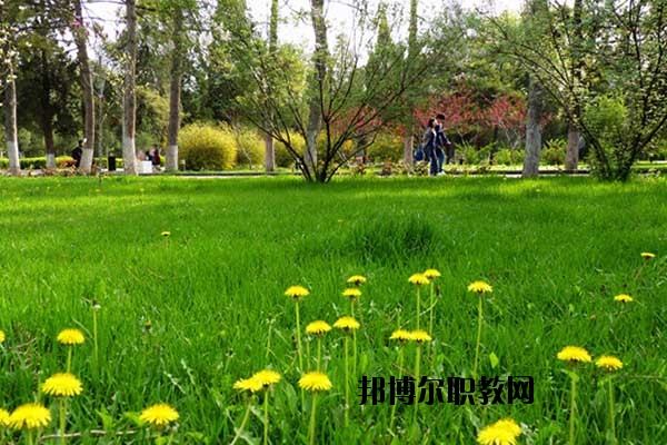 雙江縣職教中心怎么樣、好不好