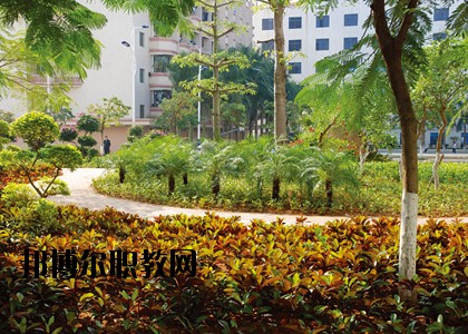 湛江技師學(xué)院怎么樣、好不好
