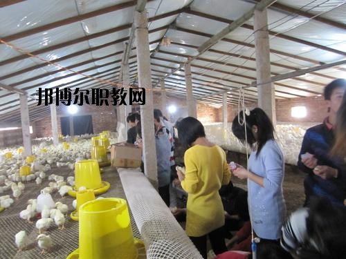 通許中等職業(yè)學(xué)校2021年學(xué)費、收費多少