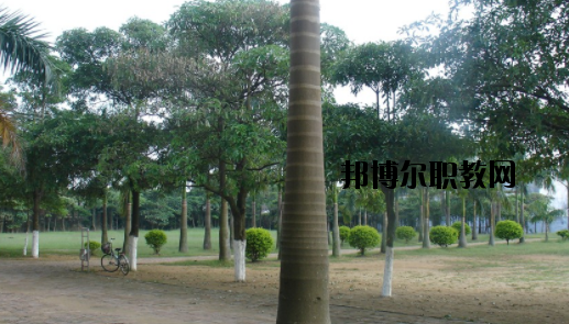 合浦石康職業(yè)技術(shù)學(xué)校怎么樣、好不好