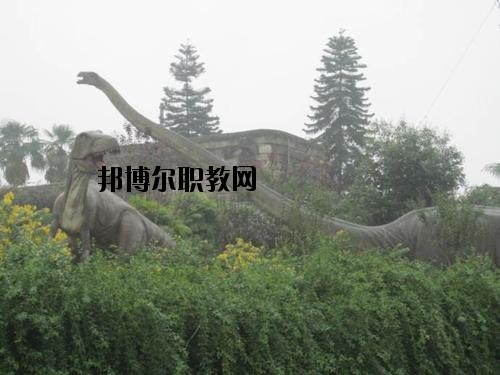 自貢三星職業(yè)技術(shù)學(xué)校2020年報(bào)名條件、招生要求、招生對(duì)象