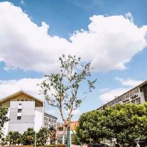 南京科技職業(yè)學(xué)院怎么樣、好不好