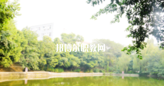 崇左八桂城市中等職業(yè)技術(shù)學(xué)校怎么樣、好不好