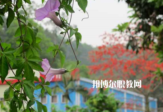 廣東省理工職業(yè)技術學校2020年招生辦聯(lián)系電話