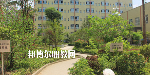 道真中等職業(yè)學校2020年報名條件、招生要求、招生對象