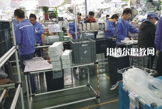 遂溪縣職業(yè)技術(shù)學(xué)校2020年報(bào)名條件、招生要求、招生對(duì)象