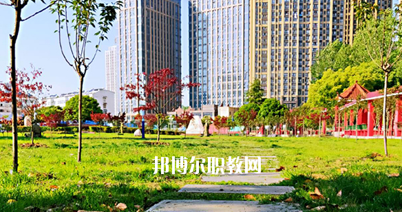 合肥飛躍學(xué)校2020年報名條件、招生要求、招生對象 