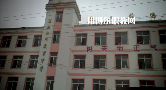 禮縣白河農(nóng)業(yè)中學網(wǎng)站網(wǎng)址
