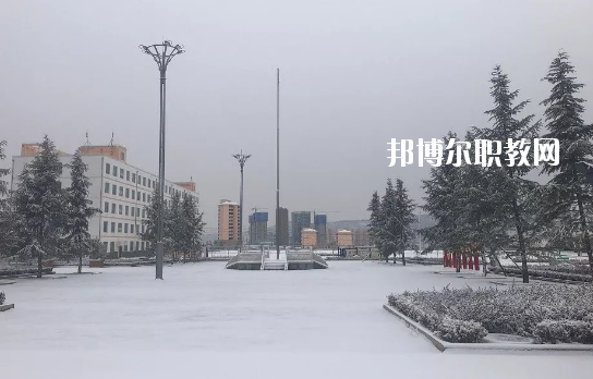 鎮(zhèn)原縣職業(yè)中等專業(yè)學校網(wǎng)站網(wǎng)址