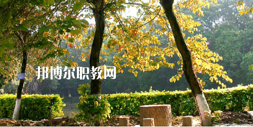 廣西民族中等專業(yè)學(xué)校怎么樣、好不好