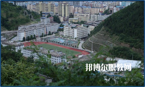 廣元朝天職業(yè)中學(xué)2020年報(bào)名條件、招生要求、招生對象