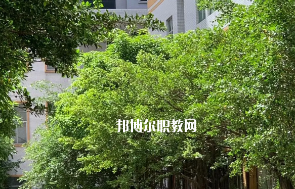 惠州惠陽財經(jīng)外貿(mào)職業(yè)技術學校怎么樣、好不好