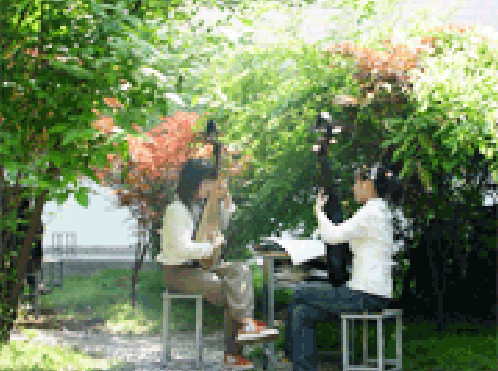 蘇州評(píng)彈學(xué)校2021年報(bào)名條件、招生要求、招生對(duì)象