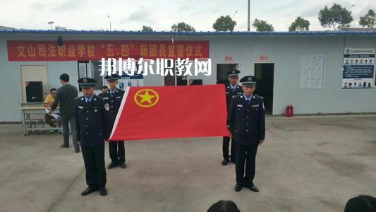 文山司法職業(yè)學校2021年招生錄取分數線