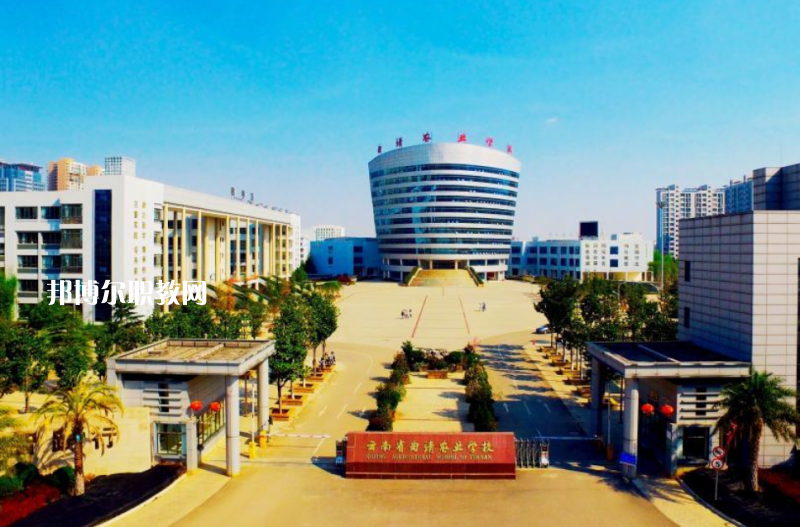 曲靖農(nóng)業(yè)學(xué)校2021年招生錄取分數(shù)線